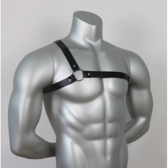 Arnes Torso Masculino